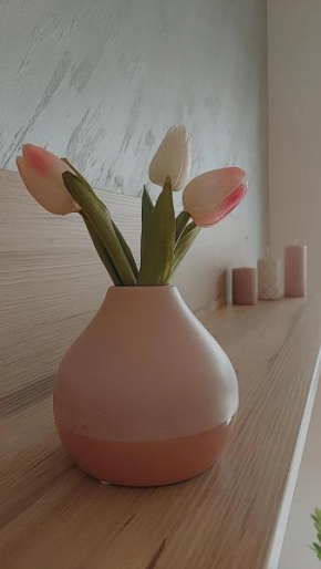 SUNRAY Apartman Požarevac